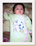 IMG_2887 * 1200 x 1600 * (1.43MB)