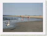 Crane Beach